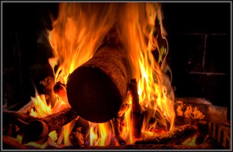 Passing the Torch: The Sacred Ritual of the Pavan Yule Log